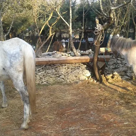 Prázdninový dům Kuca Za Odmor Bozac Vodnjan