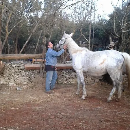 Holiday home Kuca Za Odmor Bozac